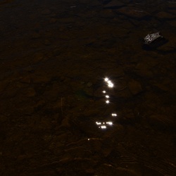 2015-07 Savoie/Lac blanc/DSC_0206.JPG